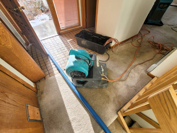 Best Commercial Water Damage Restoration in Gonzales, CA